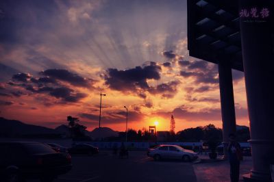 IMG_2859.jpg