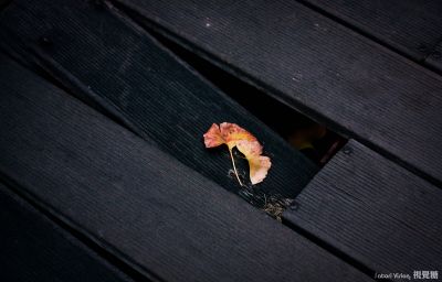 IMG_9710s.jpg