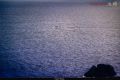 IMG_0789s.jpg