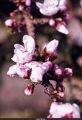 IMG_2314s.jpg