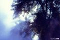 IMG_7880s.jpg