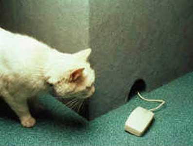 078[1]_2.jpg