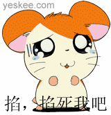 C5E096C4E00000044.GIF
