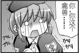 bgfdefds018.jpg