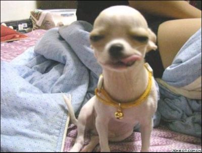 2004111142745356.jpg