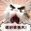 Filename=1207306004776.gif
Filesize=31KiB
Dimensions=136x136
Date added=Oct 25, 2008 1207306004776.gif