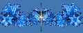 1524637.gif