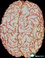 mu070.gif