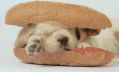 Filename=soft163_8125241746.jpg
Filesize=26KiB
Dimensions=573x348
Date added=Oct 22, 2008 soft163_8125241746.jpg