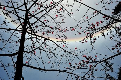 DSC_2606.jpg