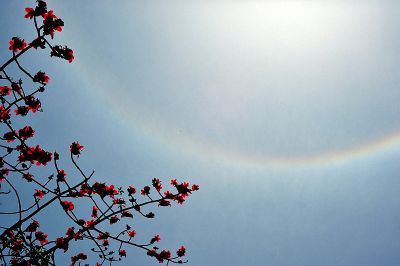 DSC_2617.jpg
