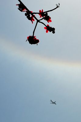 DSC_2669.jpg