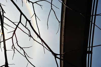 DSC_2675.jpg