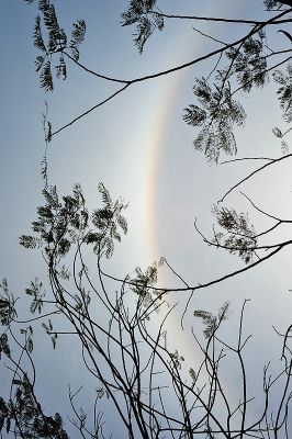 DSC_2678.jpg