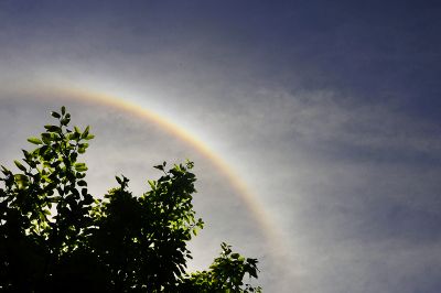 DSC_2700.jpg