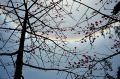 DSC_2606.jpg