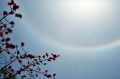 DSC_2617.jpg