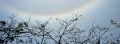 DSC_2667.jpg