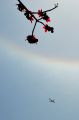 DSC_2669.jpg