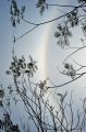 DSC_2678.jpg