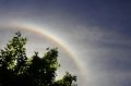 DSC_2700.jpg