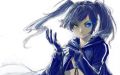 brs_1.jpg