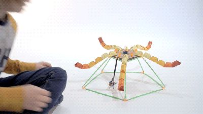 62246303e89b6ad3bdf154b5dc303d11_large.gif