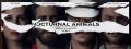 Filename=nocturnal-animals-banner-poster.jpg
Filesize=38KiB
Dimensions=828x315
Date added=Dec 25, 2016 nocturnal-animals-banner-poster.jpg