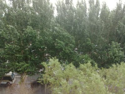 201007183895.jpg