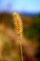 Filename=2.jpg
Filesize=30KiB
Dimensions=465x700
Date added=Dec 06, 2011 2.jpg