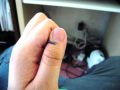 IMG_0136.JPG