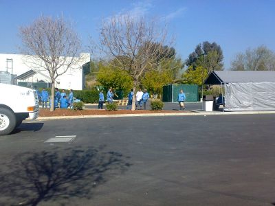 20080229338.jpg