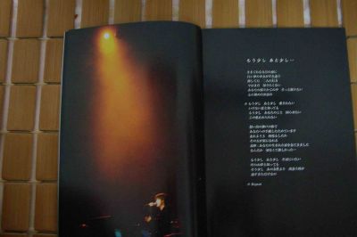20070602091545652.jpg